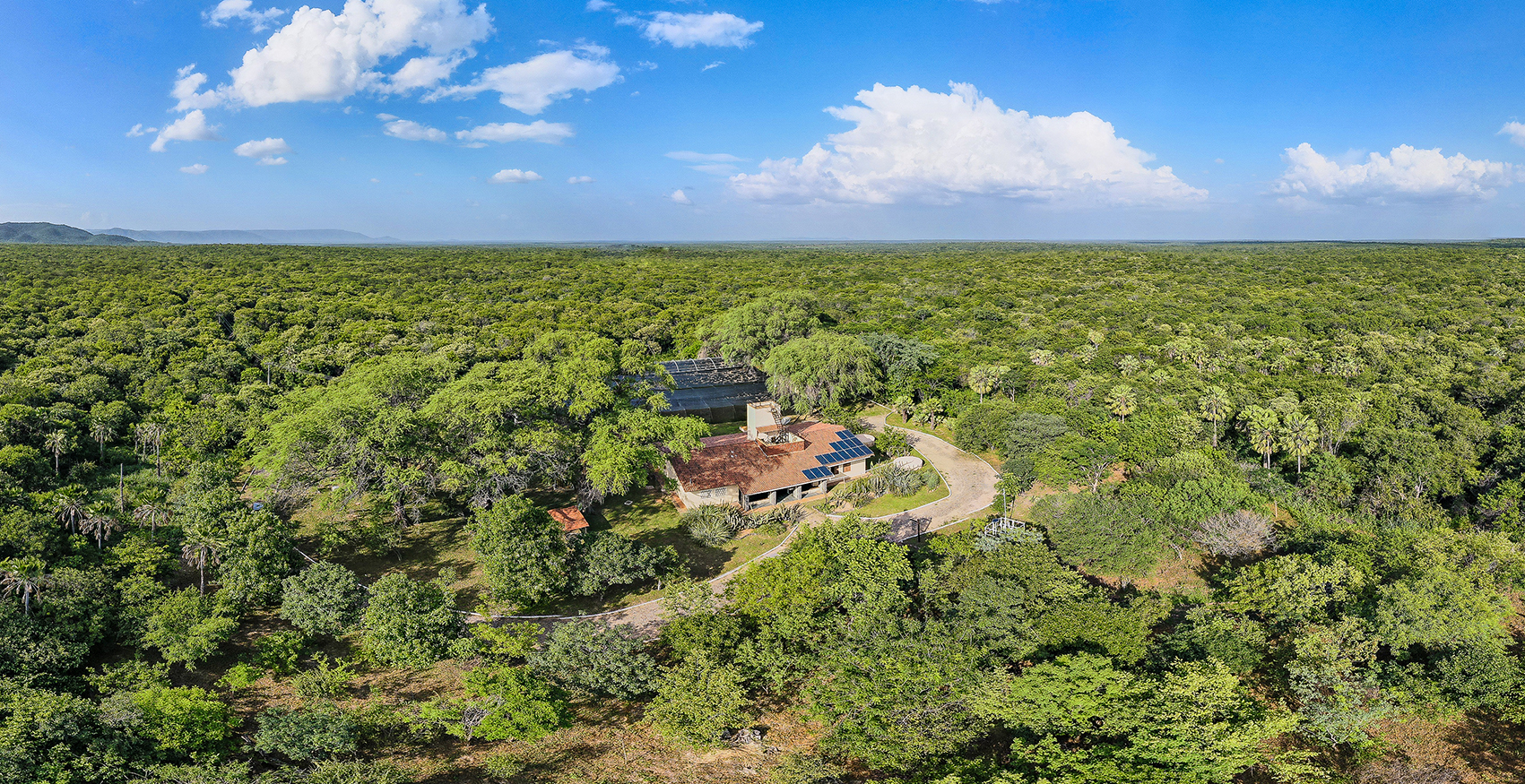 Foto: Berong (Drone)