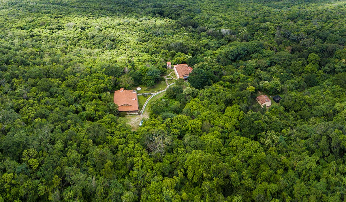 Serra das Almas - Associação Caatinga