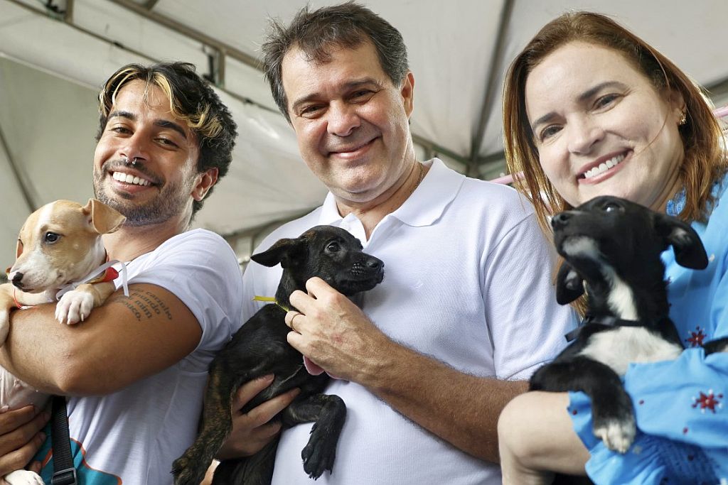 Dia Mundial de Animais de Rua
